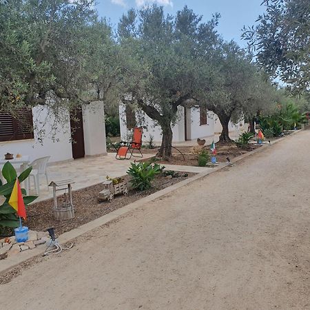 Agrisicilia Pensionat Marinella di Selinunte Rum bild